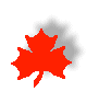 red leaf.gif